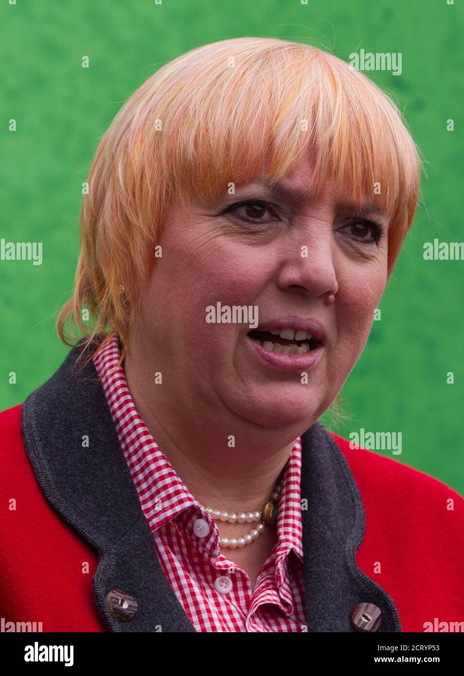 The co-leader of Die Gruenen (Green Party) Claudia Roth speaks to media conference of the party executive board in the eastern town of Woerlitz, January 9, 2012. REUTERS/Thomas Peter (GERMANY - Tags: POLITICS) Stock Photo