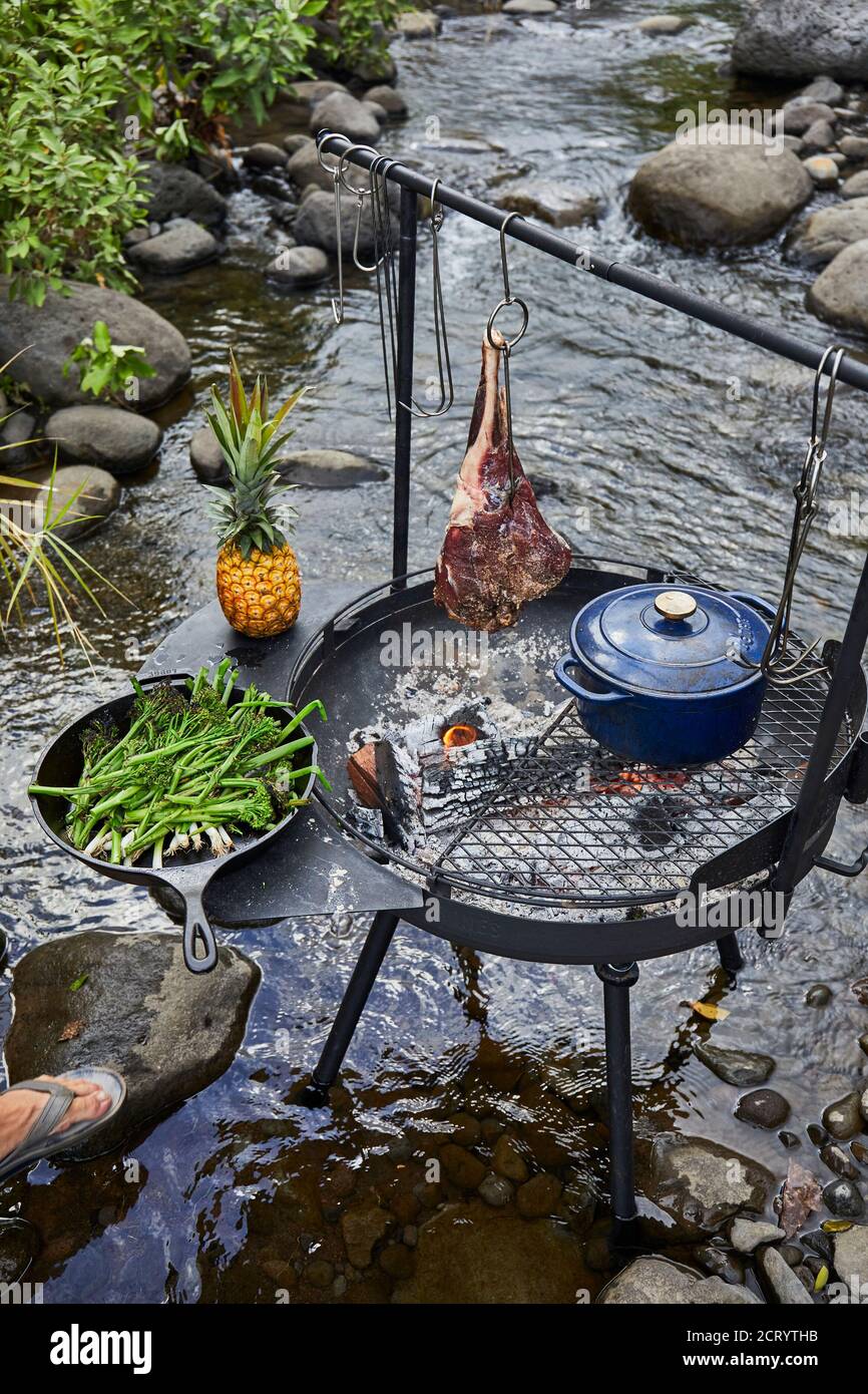 Barbecue over Wood Fired Grill near Stream Stock Photo Alamy
