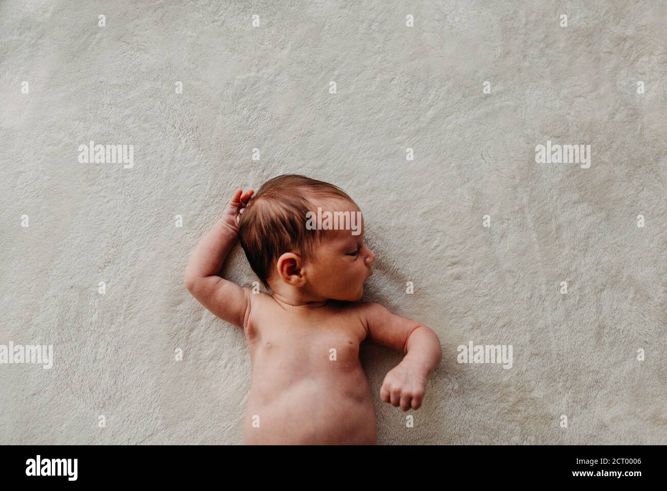 newborn baby arms, belly and head laying on a white blanket Stock Photo
