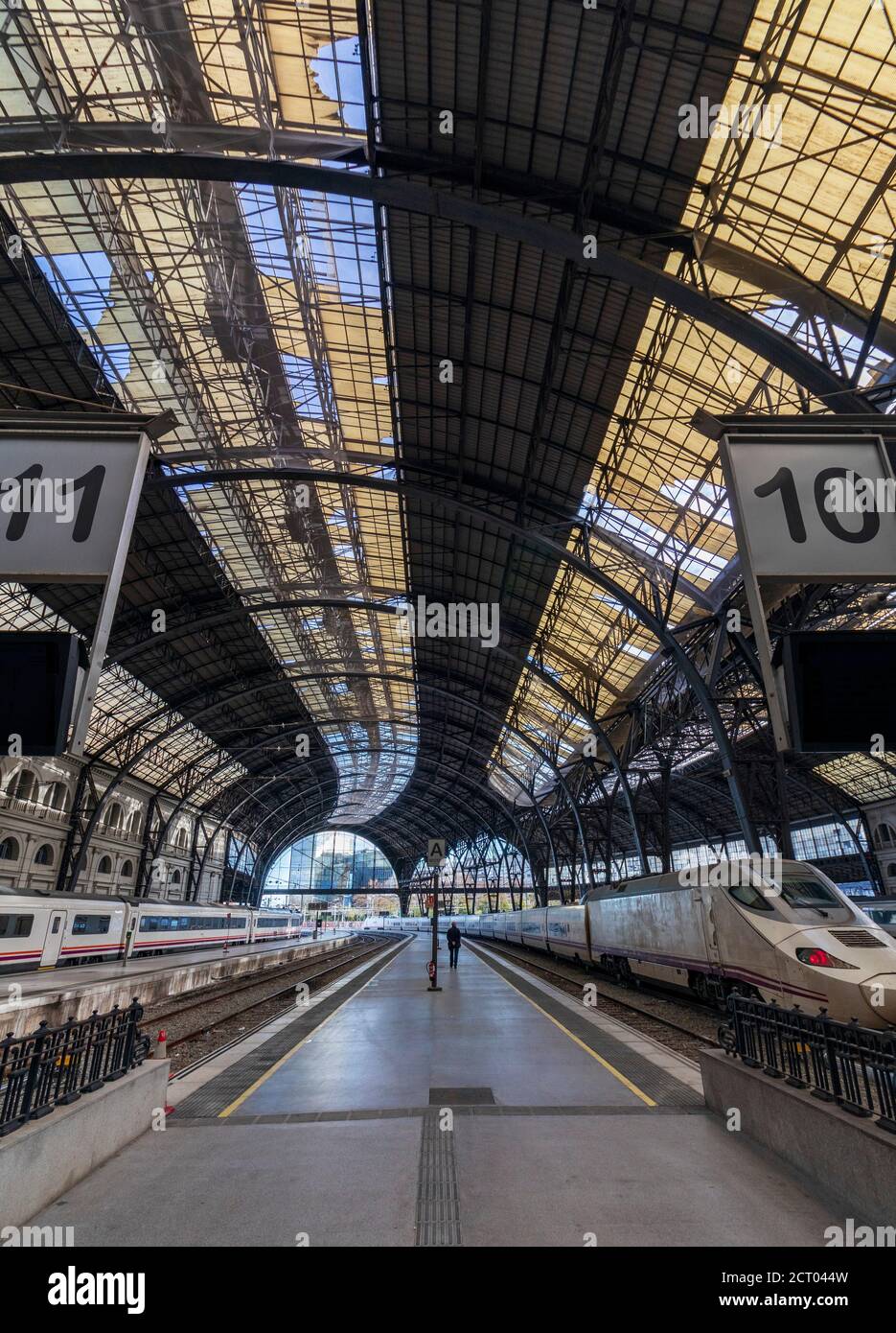 Trains on the platforms of a Barcelona station with a fantastic roof