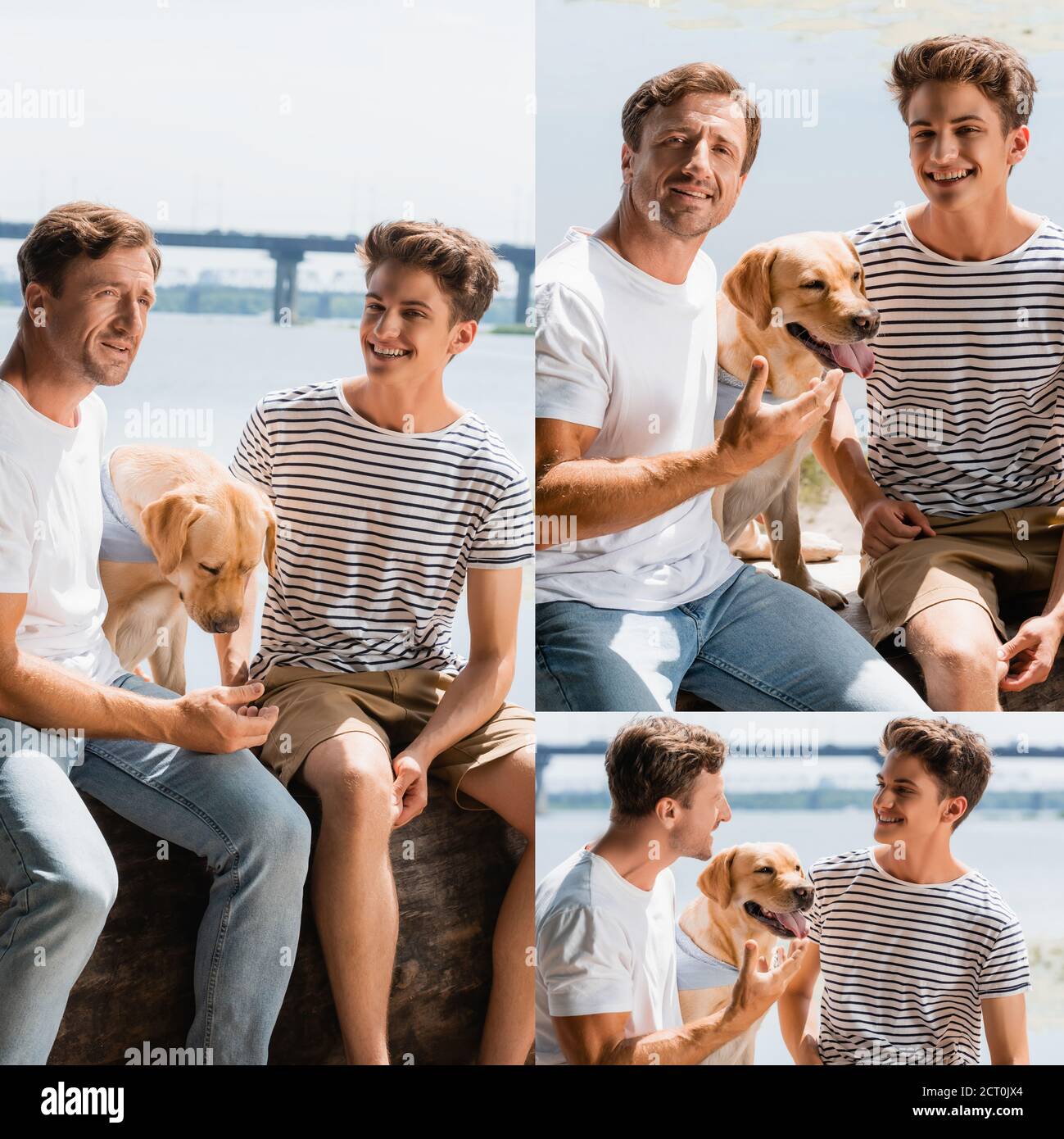 collage of father and son sitting with golden retriever near lake Stock Photo