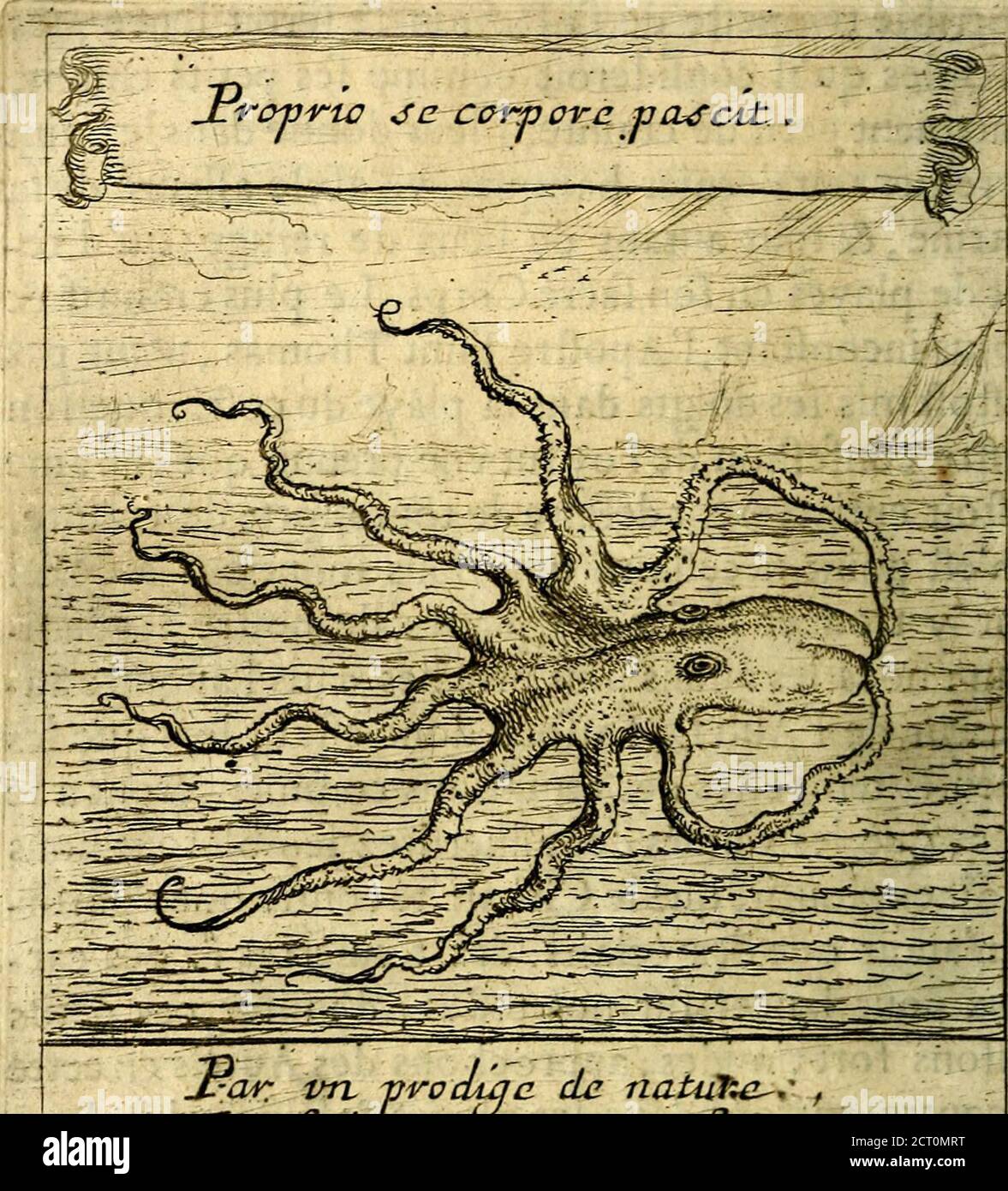 Les libraires - Numéro 138 by leslibraires - Issuu, image size:1177x1390