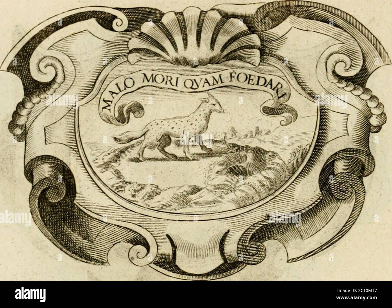 Siluestri A Petrasancta Symbola Heroica Renatvs Sicilix Rex Bouem Annofum Propo Fuicjcumgallicaepigraphc Pas A Pas Et Enim Grandi Mole Conriliorum Ncquc Cnndtabun Dus Ncque Admodiun Propcransjfcd Gradicns Tamcn Potiri Adliuc Aliis Regnis
