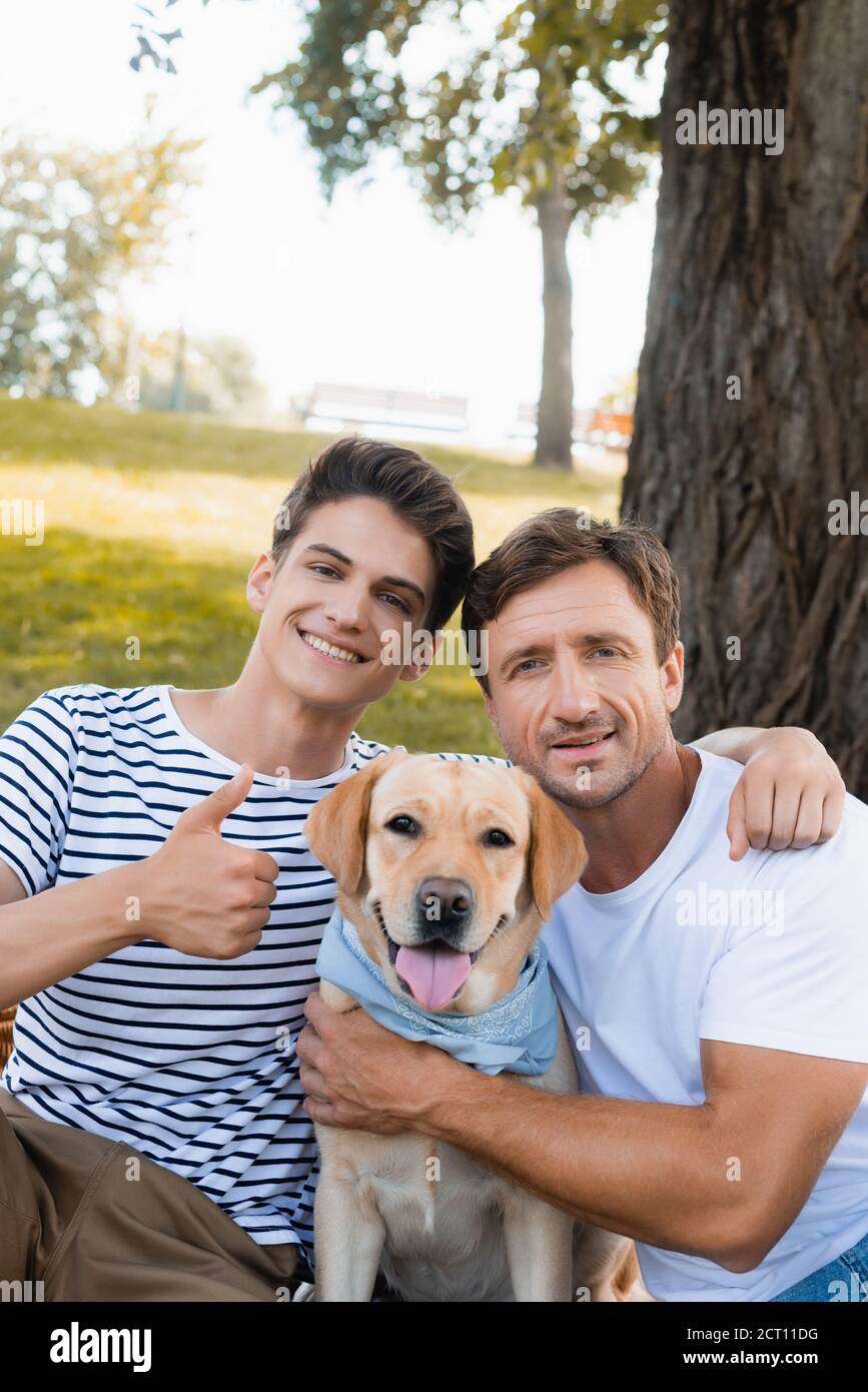 teenager son showing thumb up while hugging father near golden retriever Stock Photo