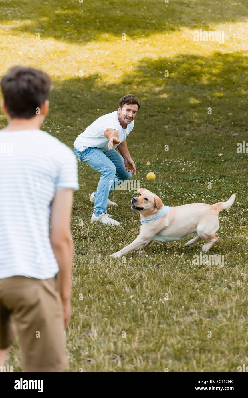 Man throwing ball for dog hires stock photography and images Alamy