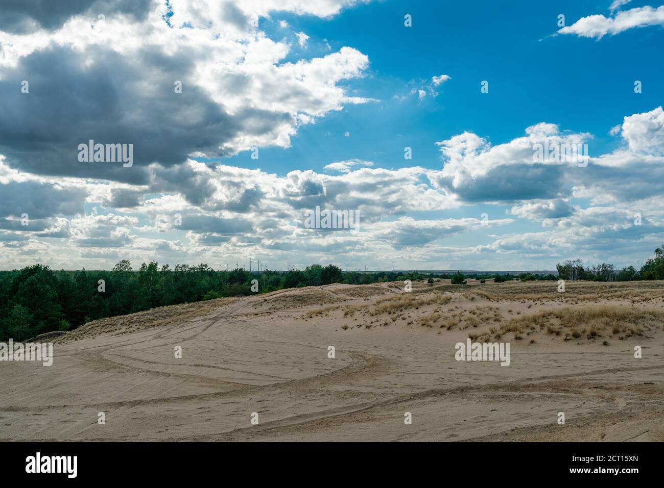 Shifting sand dune at former military training area Jueterbog in Brandenburg, Germany Stock 