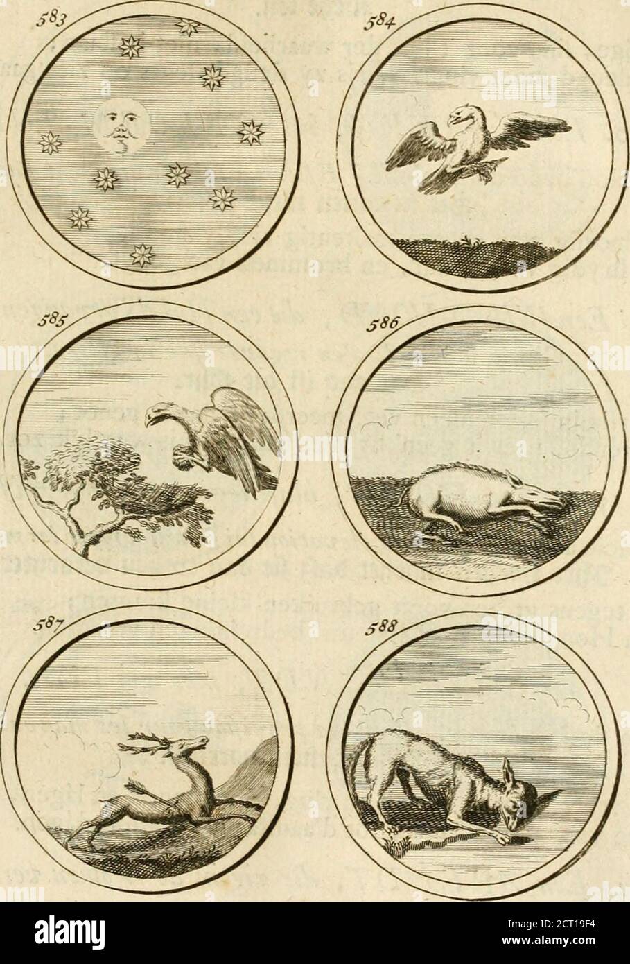 Peter van der waart hires stock photography and images Alamy