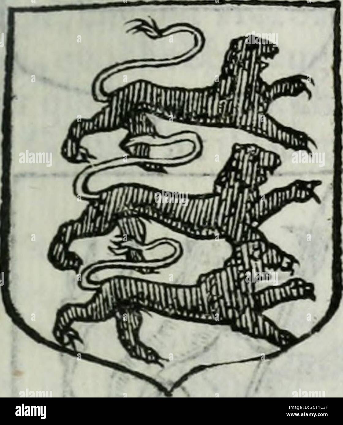 . Delle imprese trattato . qua prefero gli altri Principi, ma diucrfamente, e rimafe lin* fegna LIBRO SECONDO. io fegna dInghilterra e di Dania, di tre Leoni Coronati, fé benaltri finfero Leopardi ; Henrico portò due Leoni rofsi, & vno Henrico.azurro con certe macchie nello Scudo, di terra Luneburgen- Hermanofé, che furono infegne di Hermanno Duca di Saflònia. E Fé- oronc.**derico fecondo, le diede ad Otone Duca di Branfuic . In Ca- Cari tuia.rintia hanno i tre Leoni , manerieriuolti afiniftra, iSueui Sueui,. Stock Photo