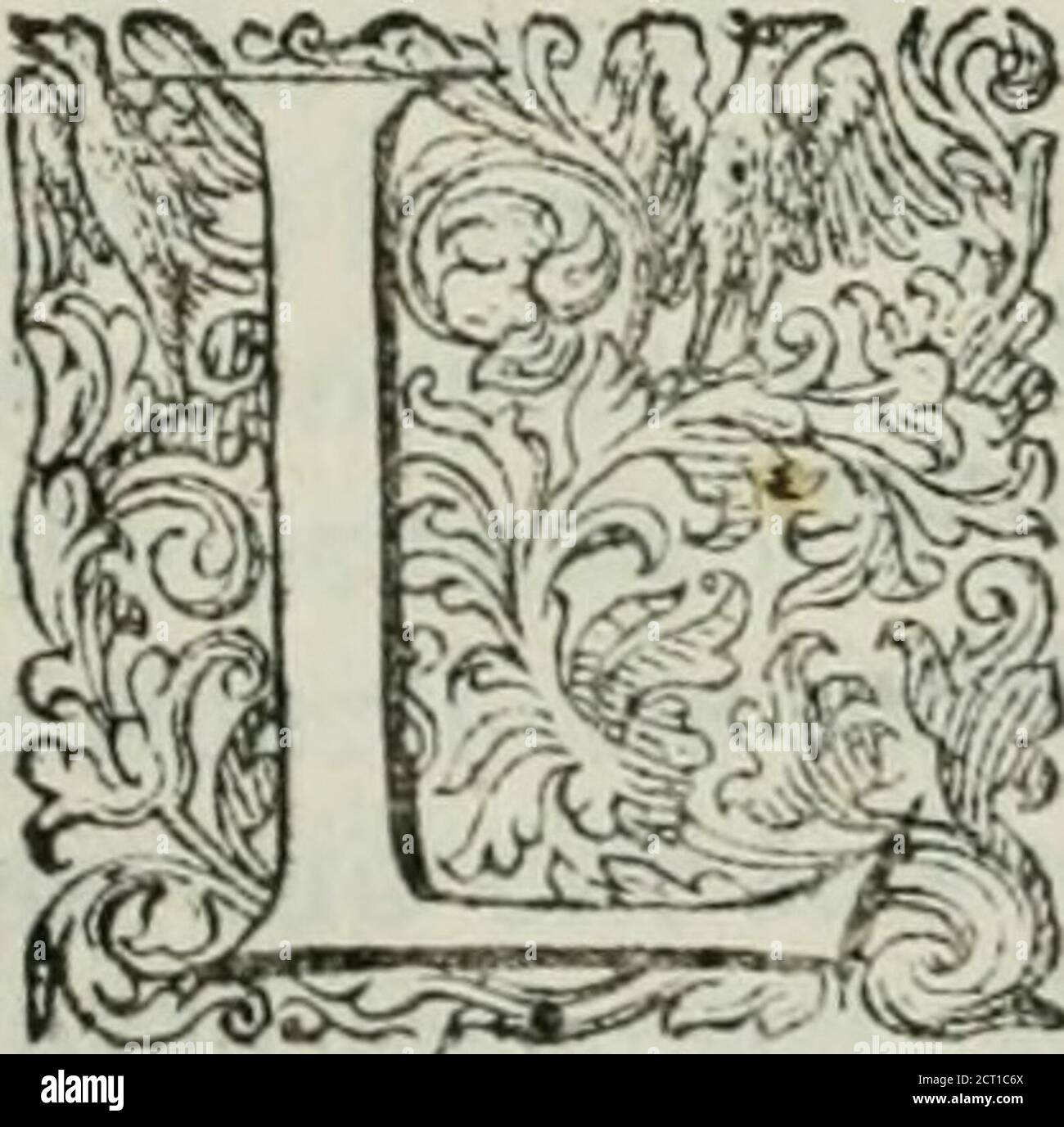 Leone leoni hi-res stock photography and images - Page 2 - Alamy