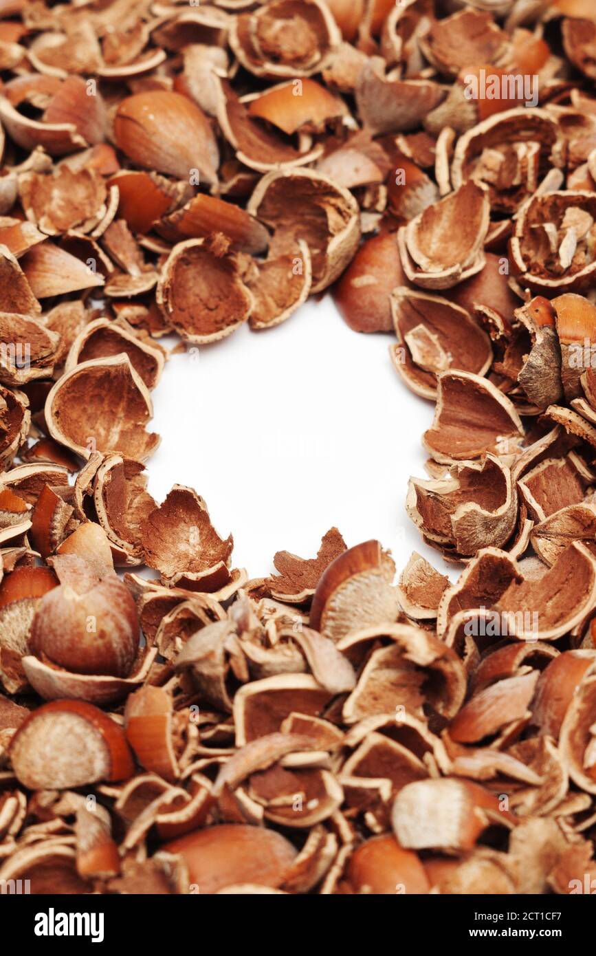 Pile of cracked hazelnut shells surrounding empty white copy space with