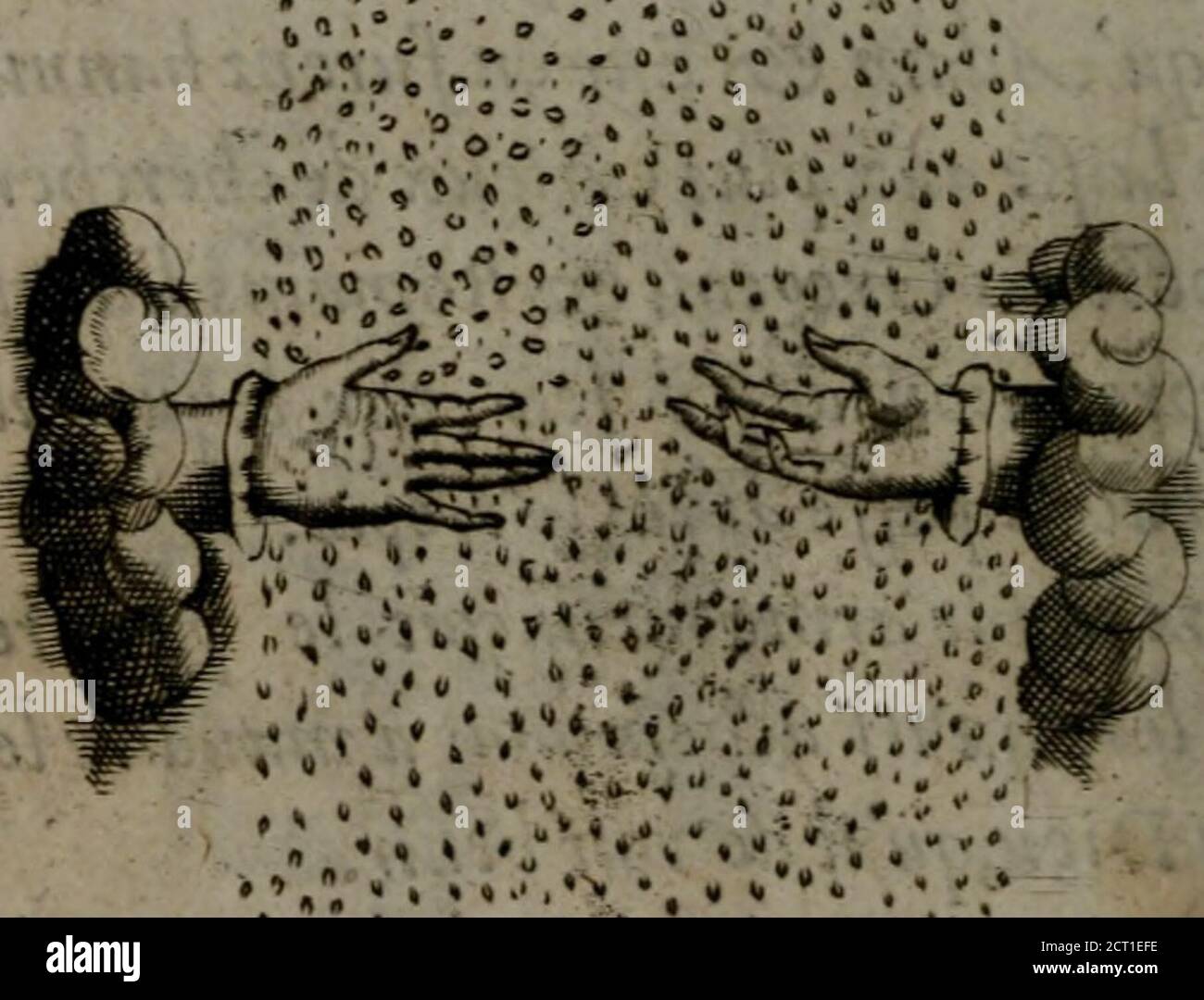 Iuon High Resolution Stock Photography And Images Alamy