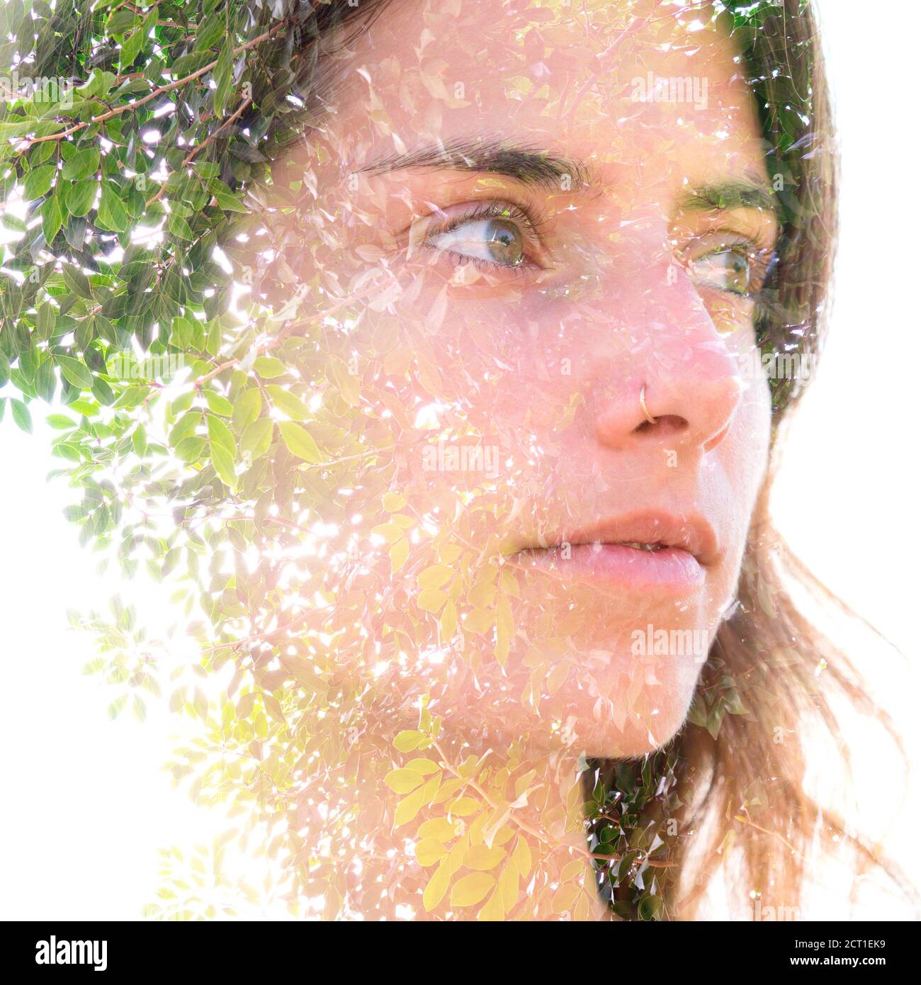Double Exposure Woman Tree High Resolution Stock Photography and Images ...