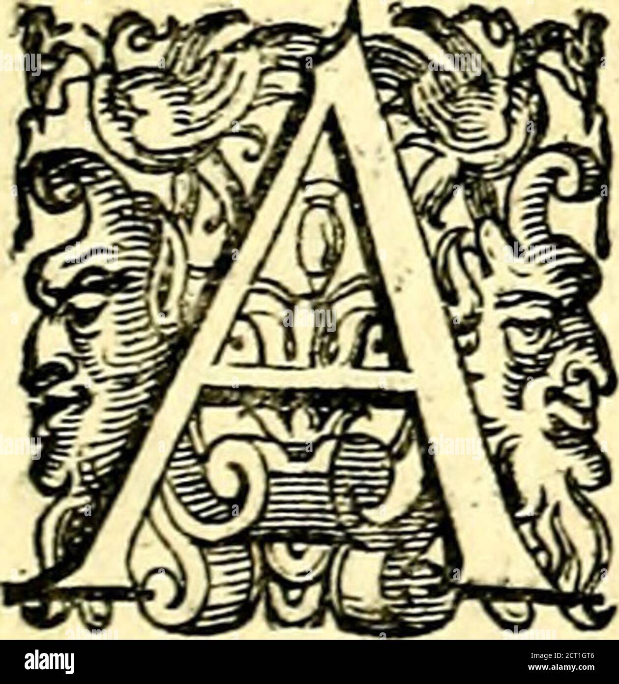 . Imprese illustri di diuersi, coi discorsi di Camillo Camilli, et con le figure intagliate in rame di Girolamo Porro Padouano .. . Dve cofeparechehabbìahautitò locchio priticipalmente lautor fuo nel fabricarfì quella Im-prefa. Prima alla natura dellherba Acanto, laquale il dice, che a gnifa dellHedera sattaccaintorno ad ogni cofa che troua. Poi à uno ftra-uagante accidente accaduto intorno à quefV-herba, dal quale egli fi uedehauer formato il corpo,o figura del-limprefa. Imperoche racconta Vitruuio nel primo libro, cheu-na giouane, eiìendo morto un Tuo caro amico , con cui, mentreegli uillè, Stock Photo