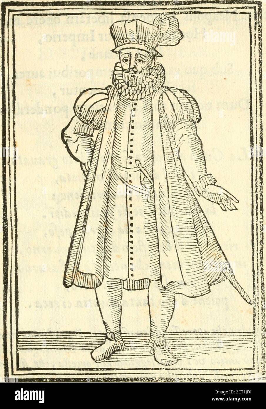 Del nido hi-res stock photography and images - Page 6 - Alamy, image size:905x1390