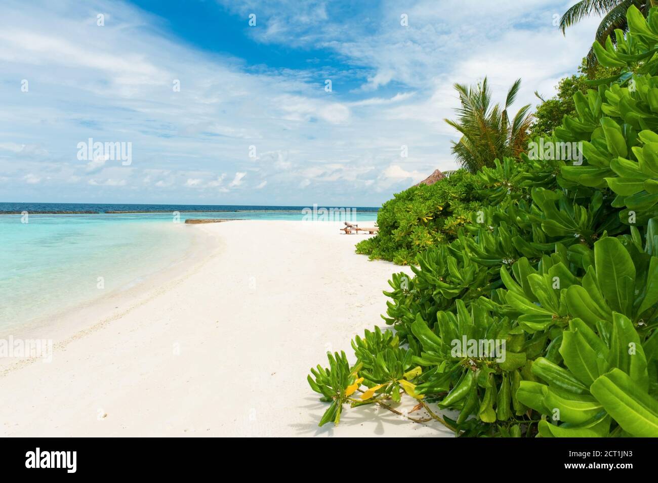 Beautiful tropical paradise in Maldives with palms hanging over the white and turquoise sea Stock Photo