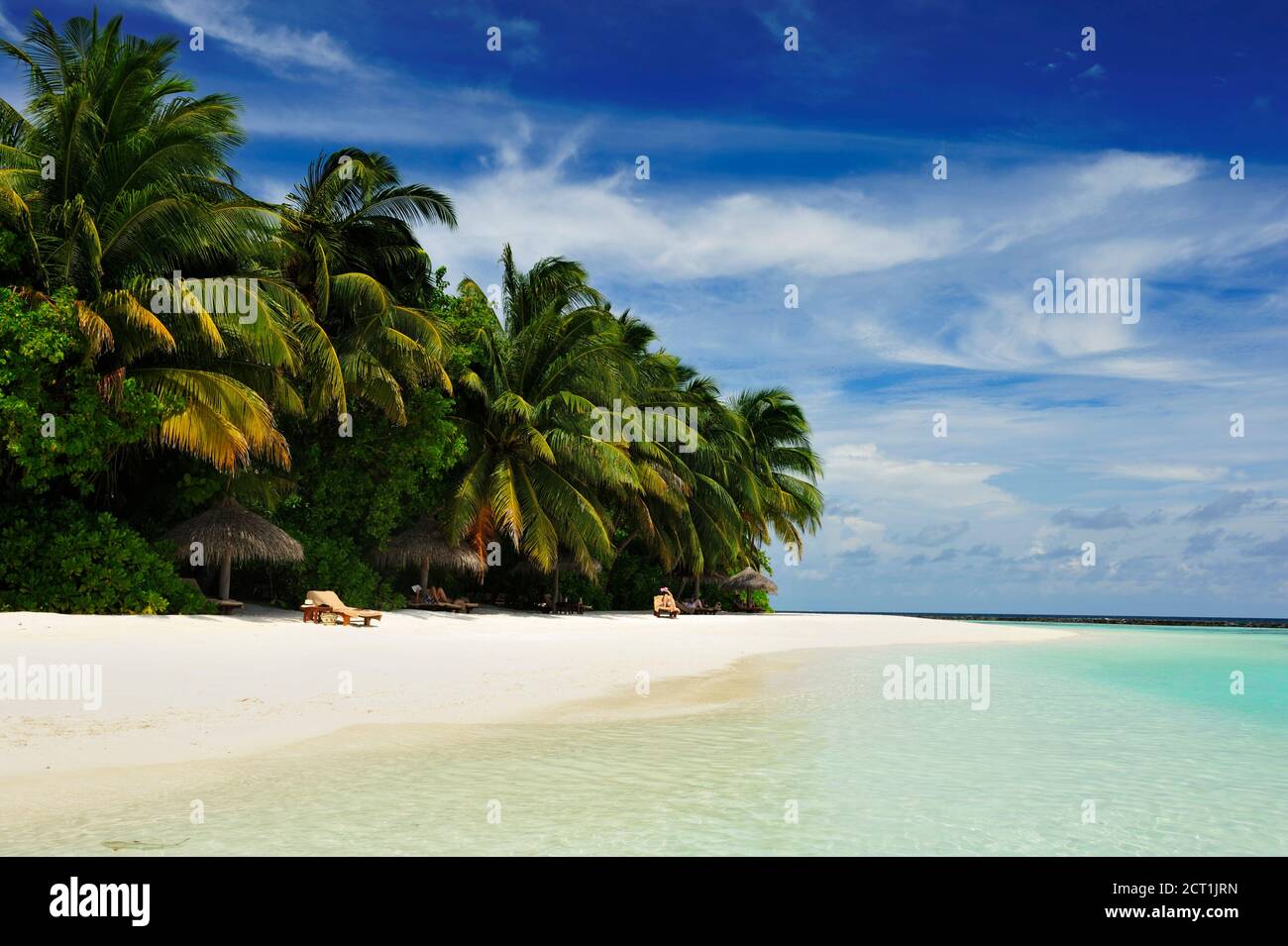 Beautiful tropical paradise in Maldives with coco palms hanging over the white and turquoise sea Stock Photo