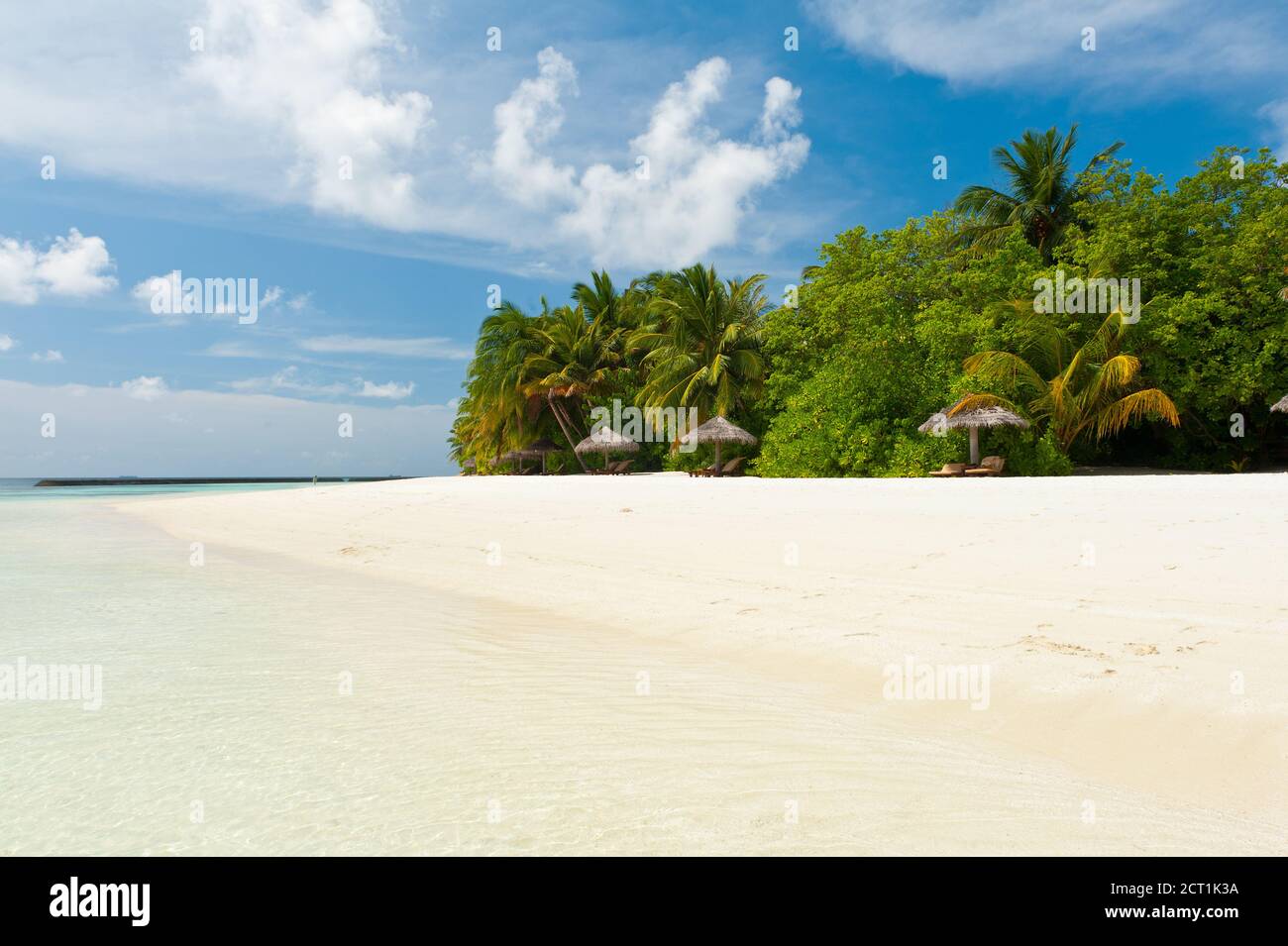 Beautiful tropical paradise in Maldives with coco palms hanging over the white and turquoise sea Stock Photo