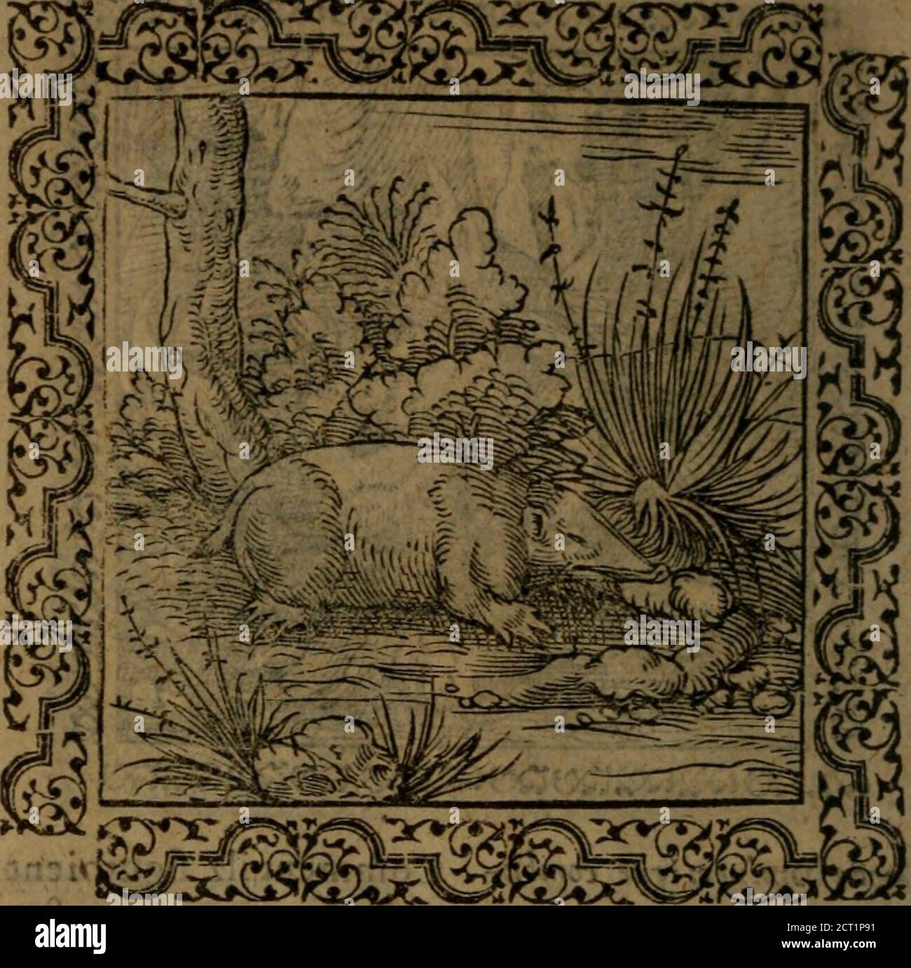 Page 6 O Qi High Resolution Stock Photography And Images Alamy