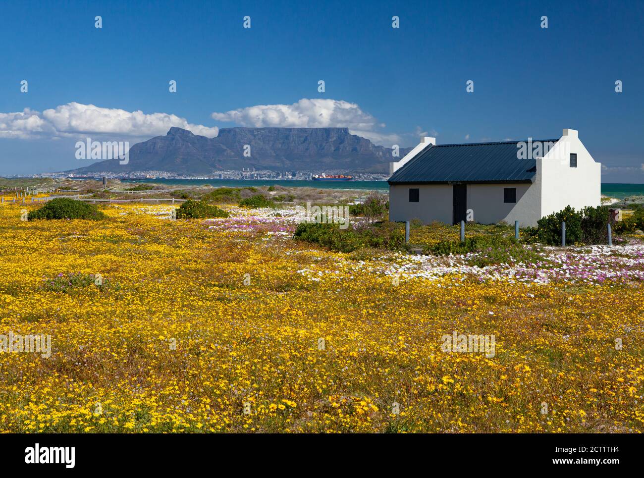 postcard view of table mountain cape town south africa with colourful