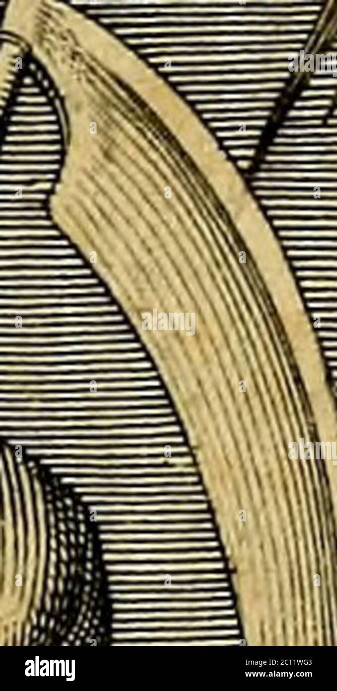 Tj High Resolution Stock Photography And Images Page 13 Alamy