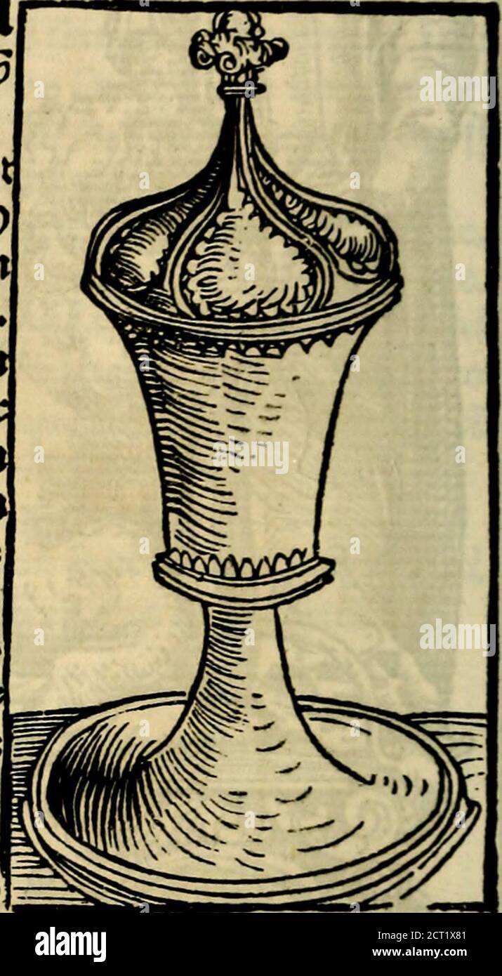 Wittemberger Heiligthumsbuch Von Fantptv N T Maio Vnb Tisett Uiv Patticmv N Fant Cafpano Wty Gticfel I In Qiof Gticpel Von Fant C Imphdo Aitttrvti6 Merterer X On Be T Komifcl En Kitteren Oimplicio5tn Rtirtivirto Viergticfel Xion Fant Ouftmocirt G Op