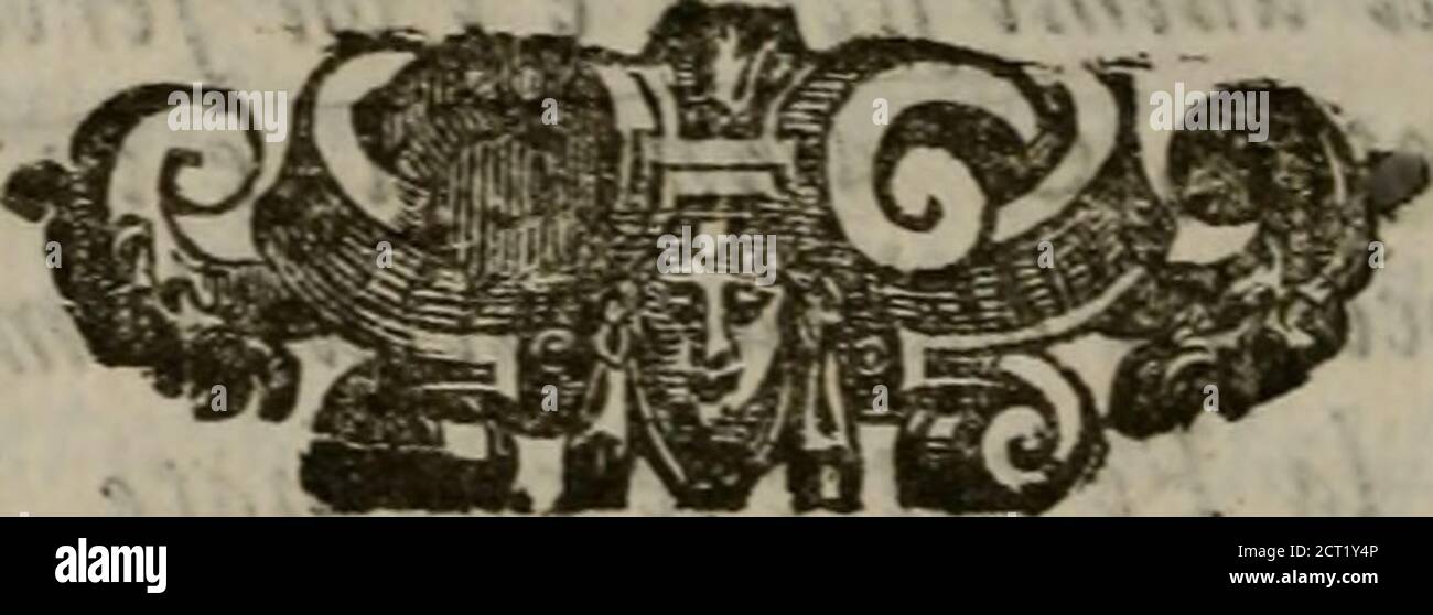 zapatos ecco bella thorne