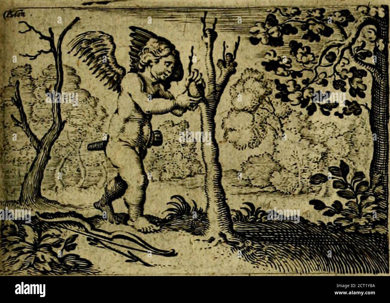 Page 9 Tu 16 High Resolution Stock Photography And Images Alamy