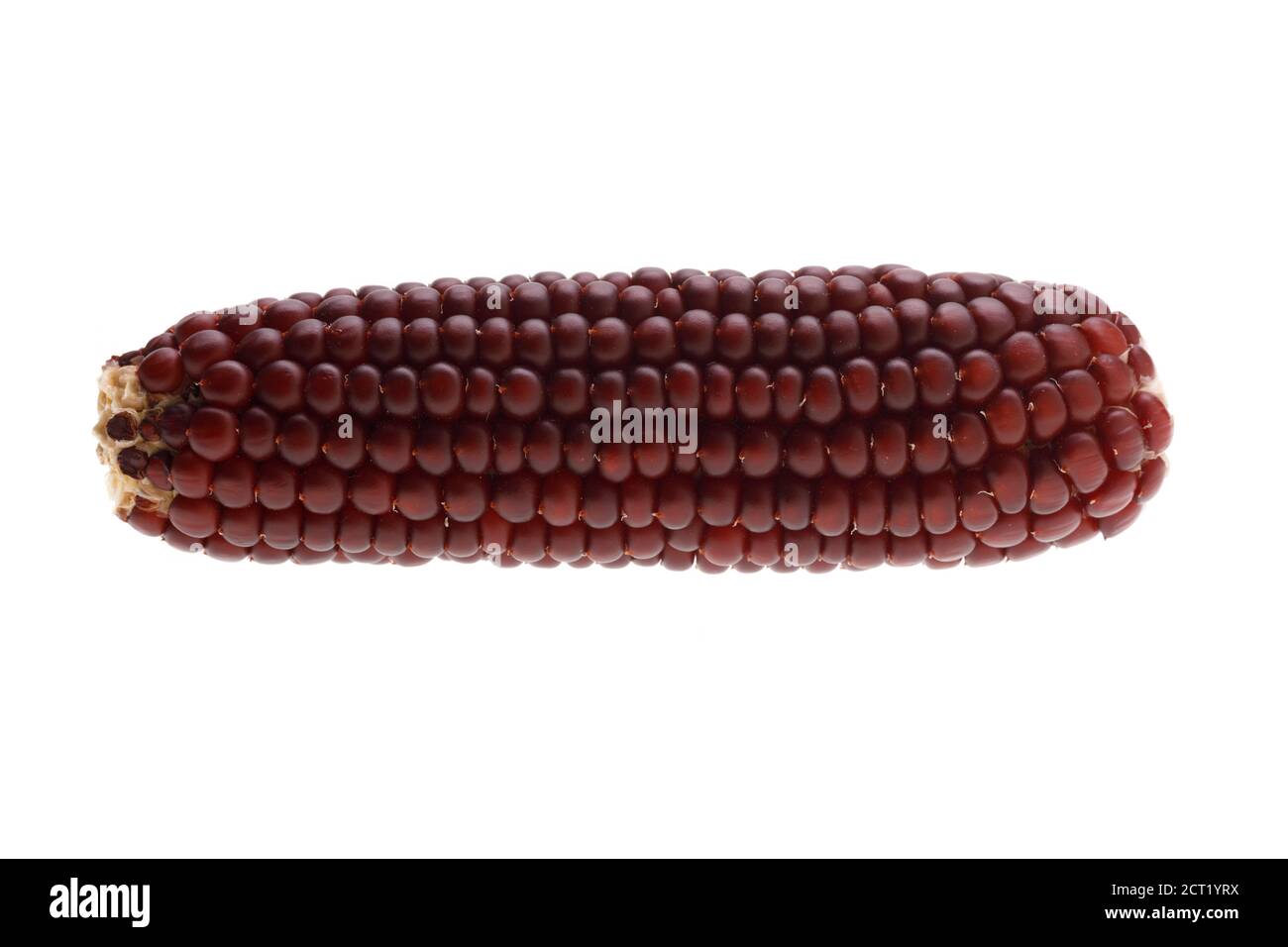 purple corn isolated on a white background Stock Photo