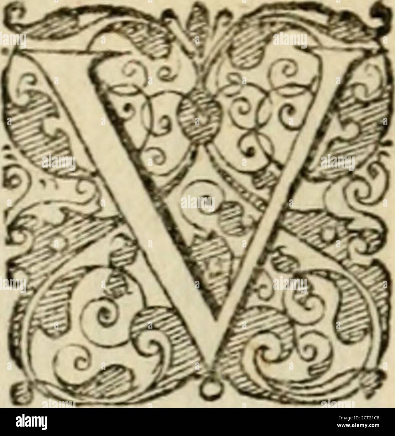 . Symbolorvm & emblematvm ex re herbaria desvmtorvm centvria vna . fhruh Aroni •vl nutnin^ arida virga.CMequog^fiorentemJpes animofafacitl t 9 Virg4. /r G A AarontSy vt habetur Ntimer. cap,ij. inter omnes alias virgas PrincipumIjraelfela ccepit germinare acvirefeere, acJlores amygdaliprotulit, indicans Leuitic&lt;z tribm eleciionem ad Sacerdotij digni-tatempecultarem, quoniam nullaalia tribm Iferaelica cumeahacinparte confecrripotuit, vtquxprxalijsadhancdignitatem eleBa feuerit y qu£ue tanquam amygdalas interarbores primaflorem &fiuciumprofeerrety C£,terisn^arbOribiis anteiret. ^ua-m virgam it Stock Photo