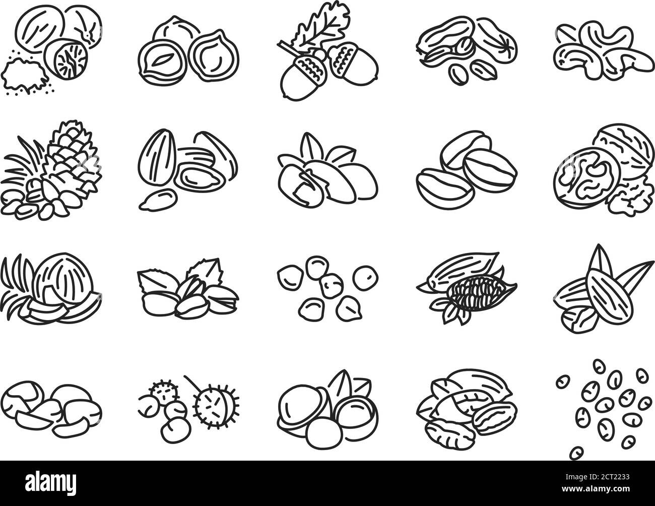 Black chia seeds Stock Vector Images Alamy