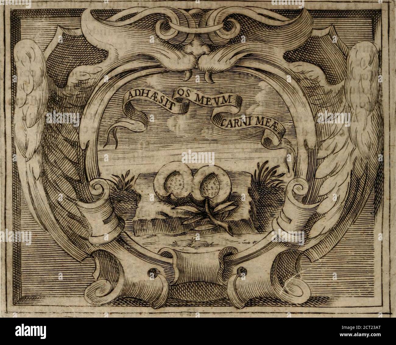 tj high resolution stock photography and images page 15 alamy