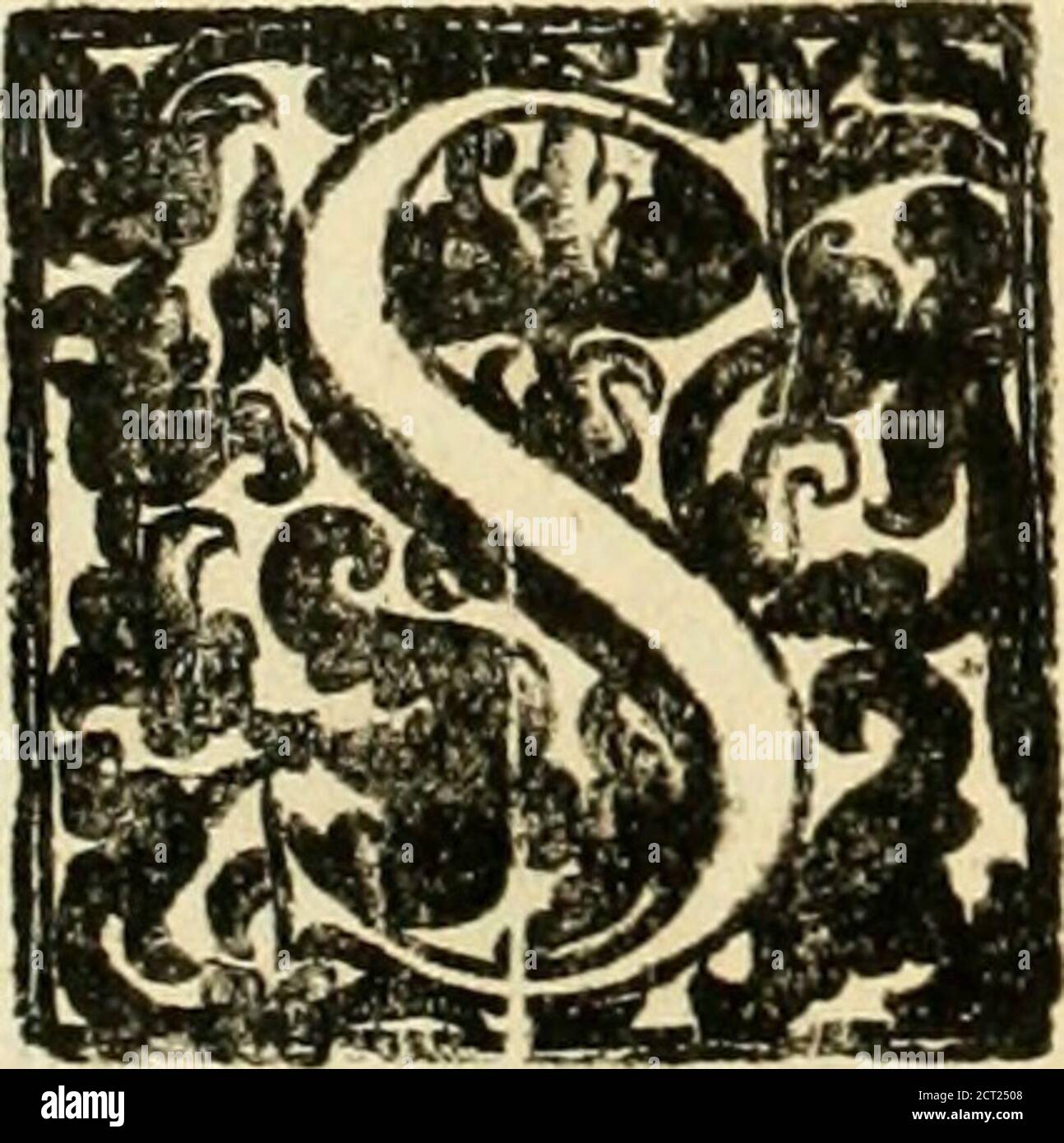 Che simbolico hi-res stock photography and images - Alamy