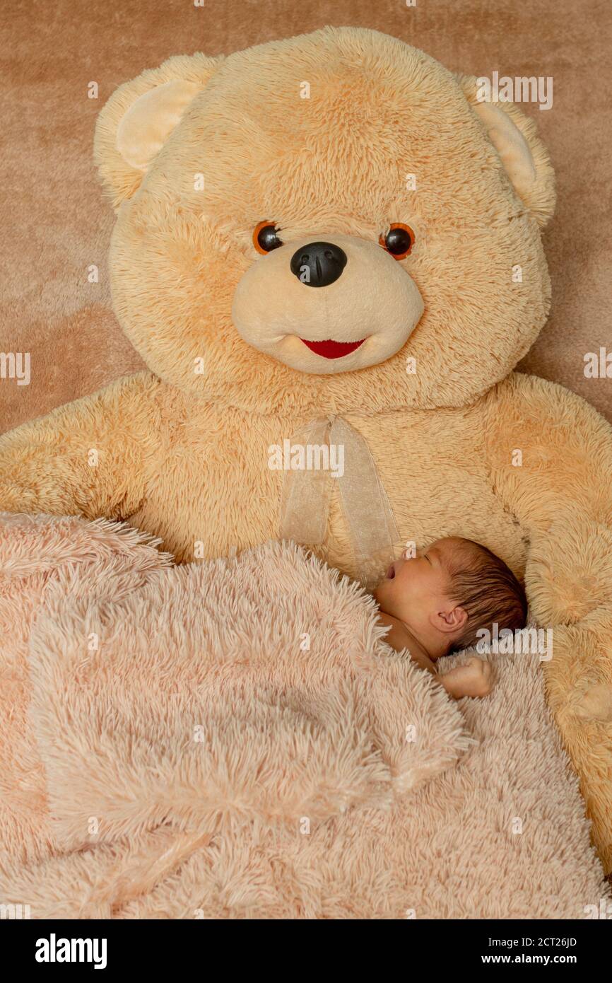 Two week old newborn baby sleeping on teddy bear Stock Photo - Alamy