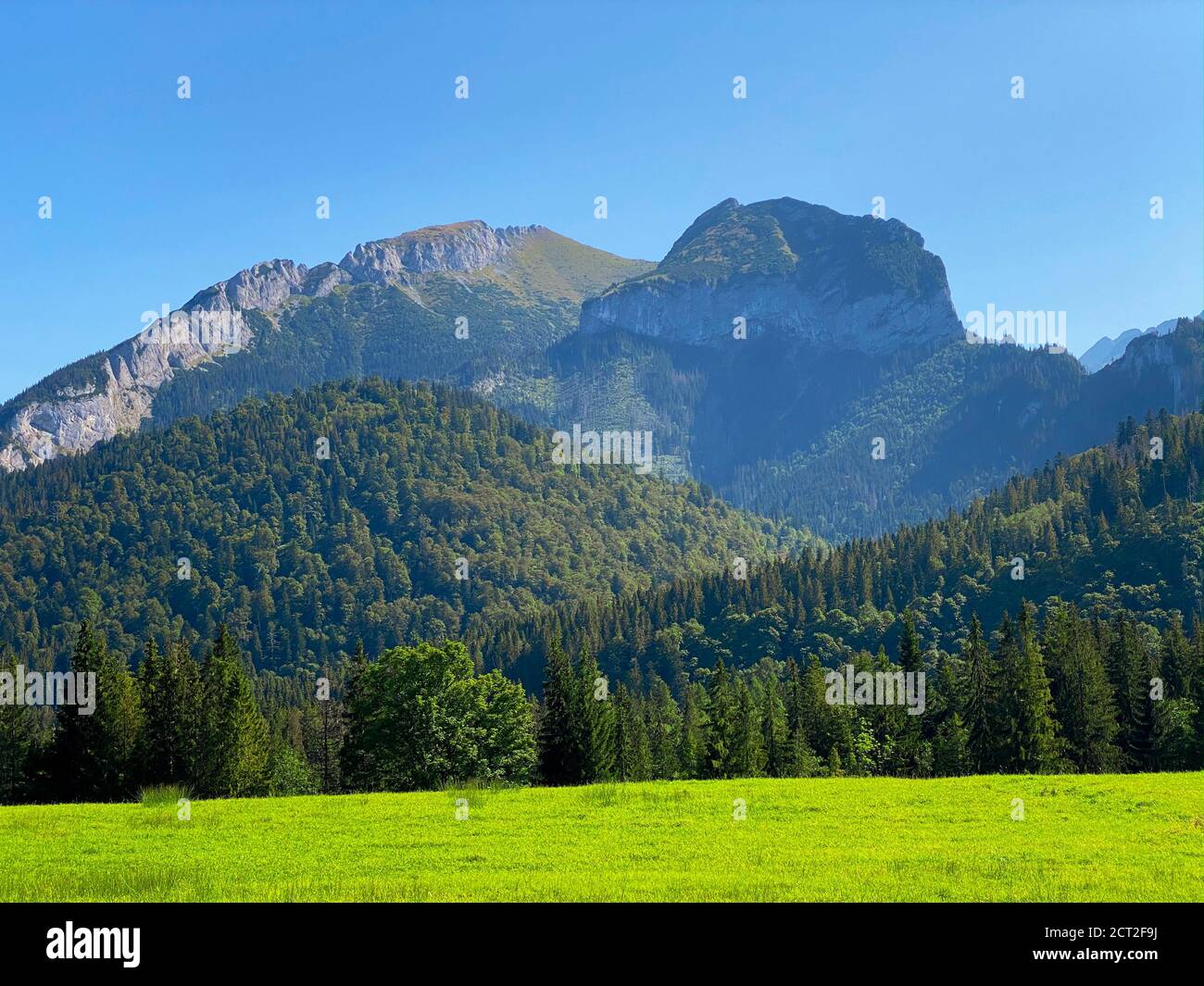 Green meadow and forest and interesting mountain range in distance on a blue sky Stock Photo
