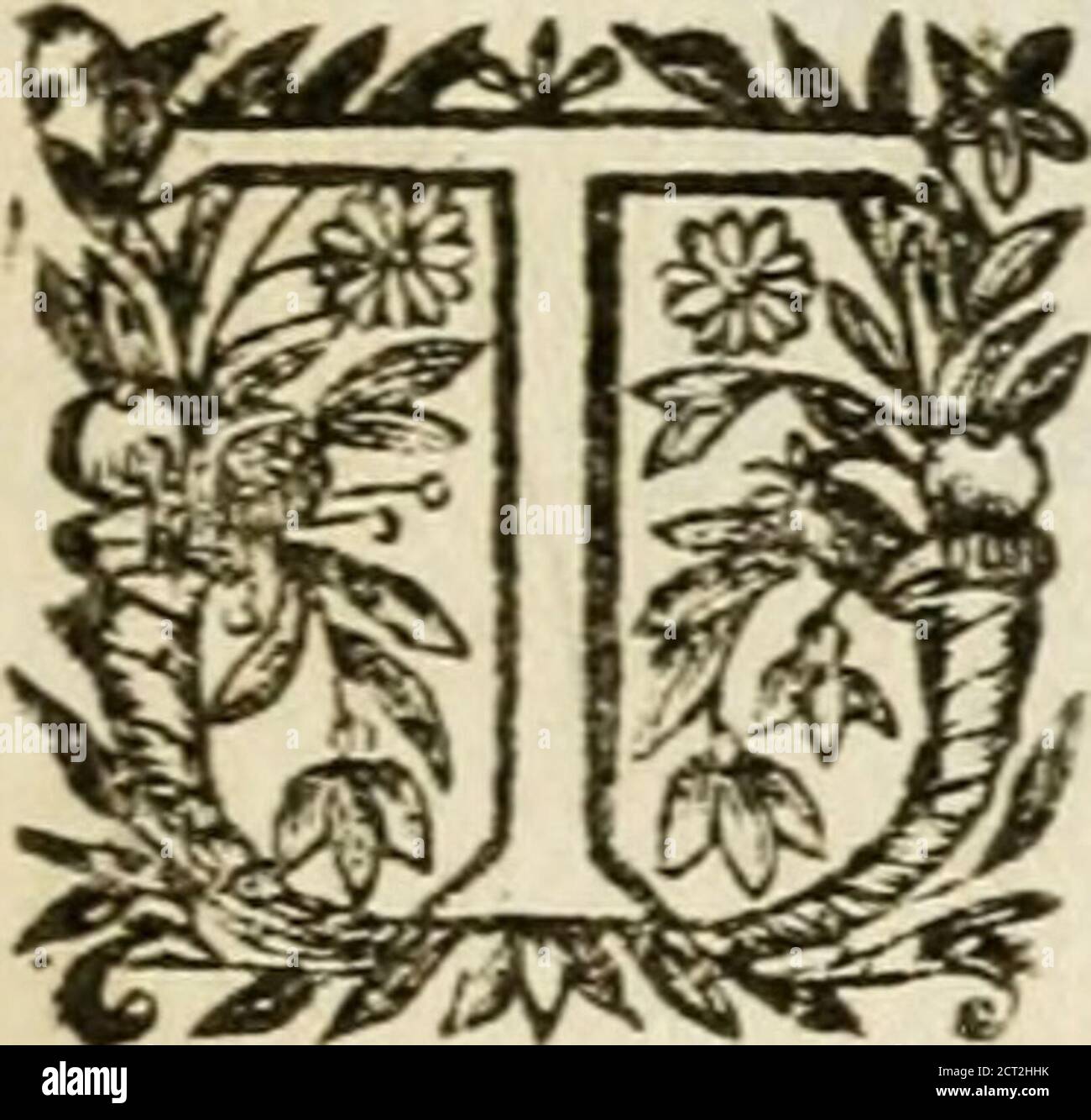 Vita Beatae Mariae Virginis Matris Dei Emblematibvs Delineata Vie De La Bien Hevrevse Vierge Marie Mere De Diev Representee Par Figures Emblematiques M A R I Ae Dei Genitrici Et