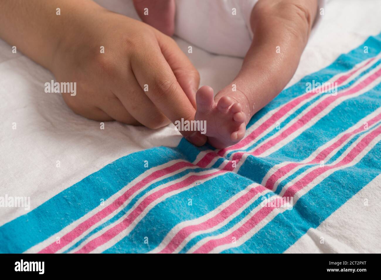 10 day old newborn baby girl closeup of foot reflex Babinski adult hand touching side of foot causing toes to fan out Stock Photo