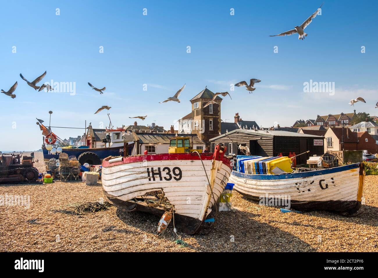 Aldeburgh, Suffolk, England, UK. Gulls flying over boats on the beach. The south lookout in the background. Stock Photo