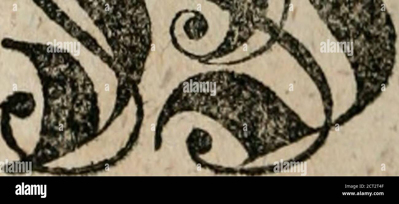 Page 12 A Bebe High Resolution Stock Photography And Images Alamy