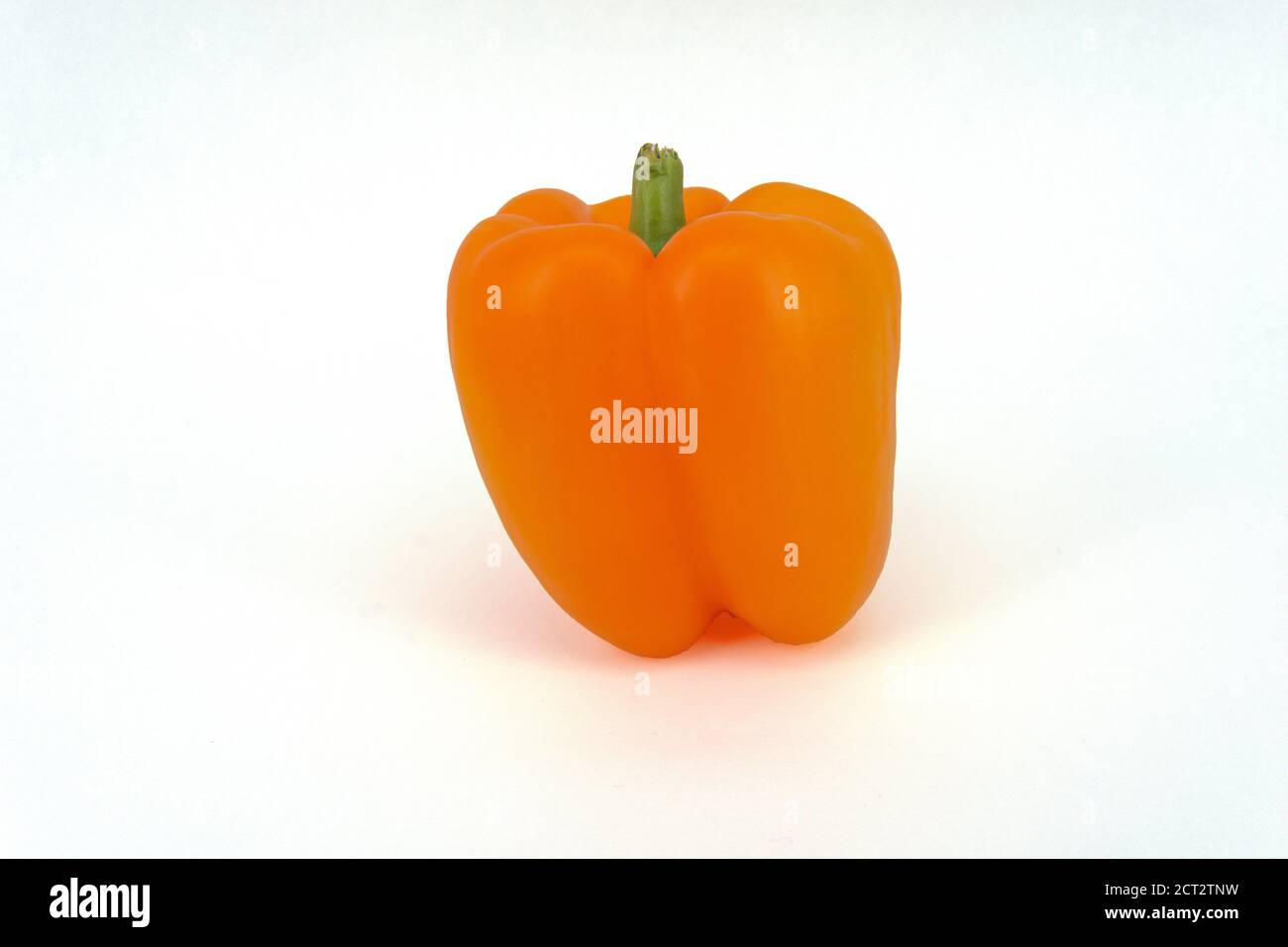 Still-life of a orange Bell Pepper (Capsicum annuum), Surrey, England, United Kingdom Stock Photo