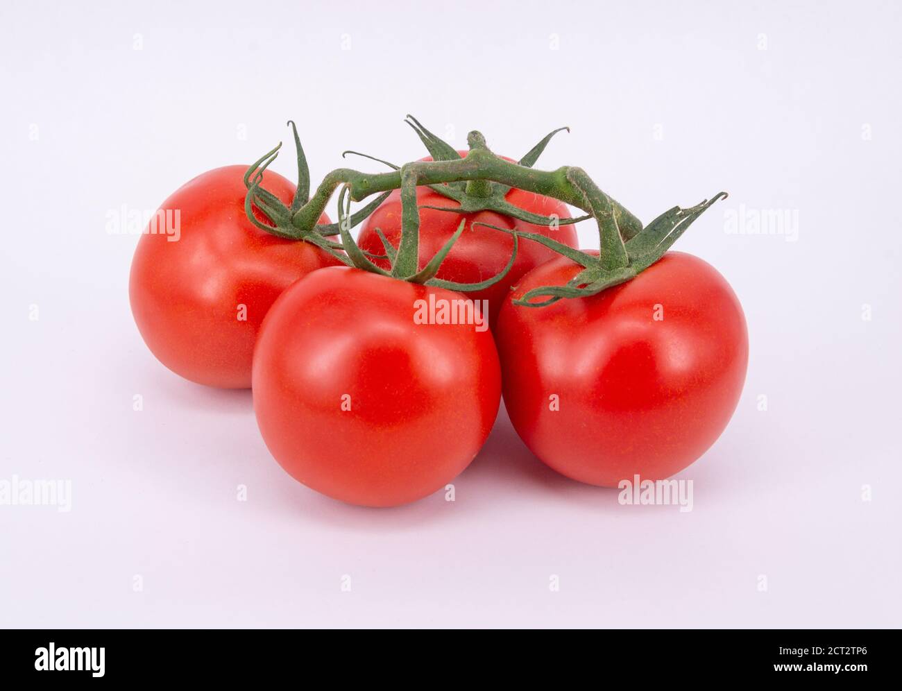 Still-life of tomatoes on the vine, Surrey, England, United Kingdom Stock Photo