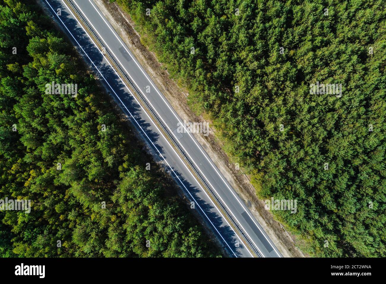 Looking like a highway, the road runs through the forest. The forest is located on both sides of the road Stock Photo