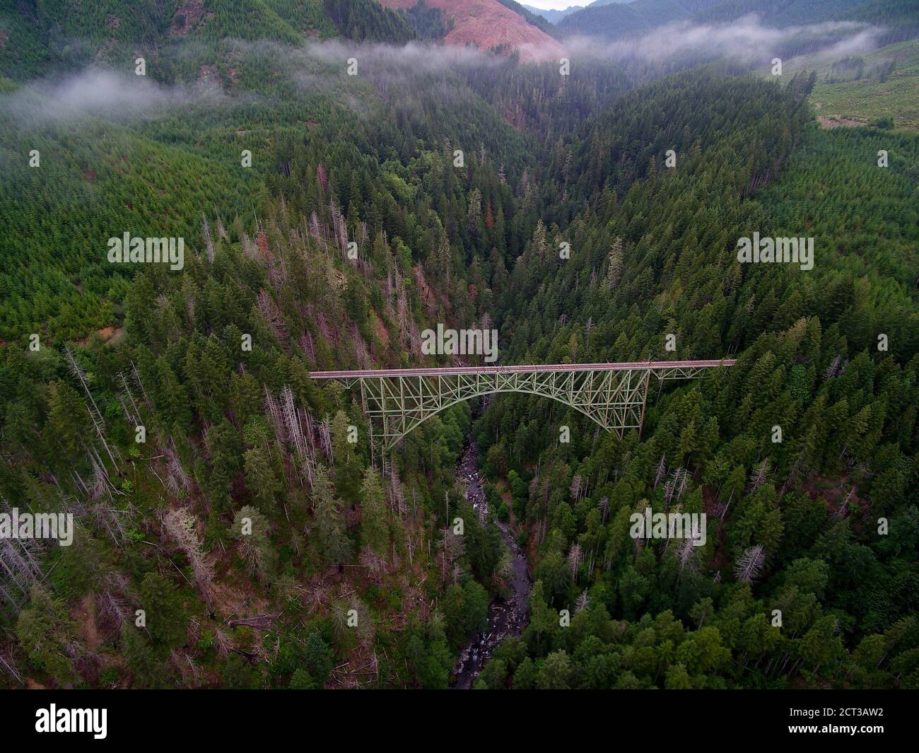 A view of Vance Creek Bridge in Washington Stock Photo - Alamy