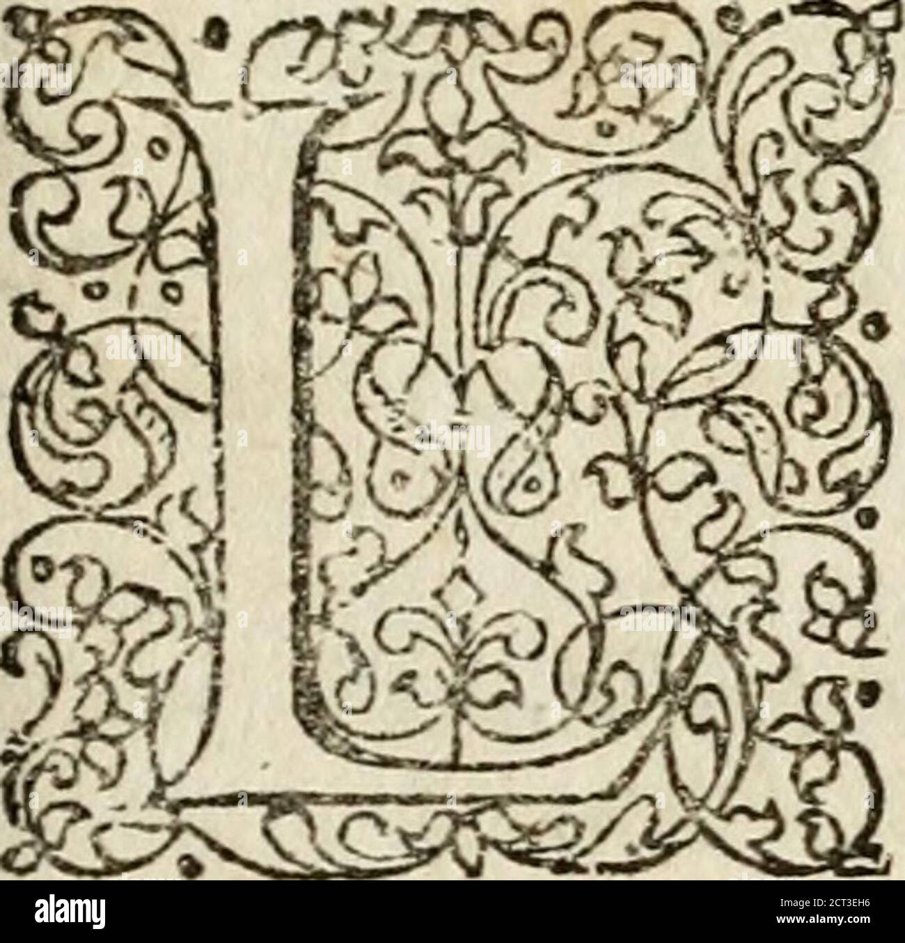 Z Cha High Resolution Stock Photography And Images Alamy