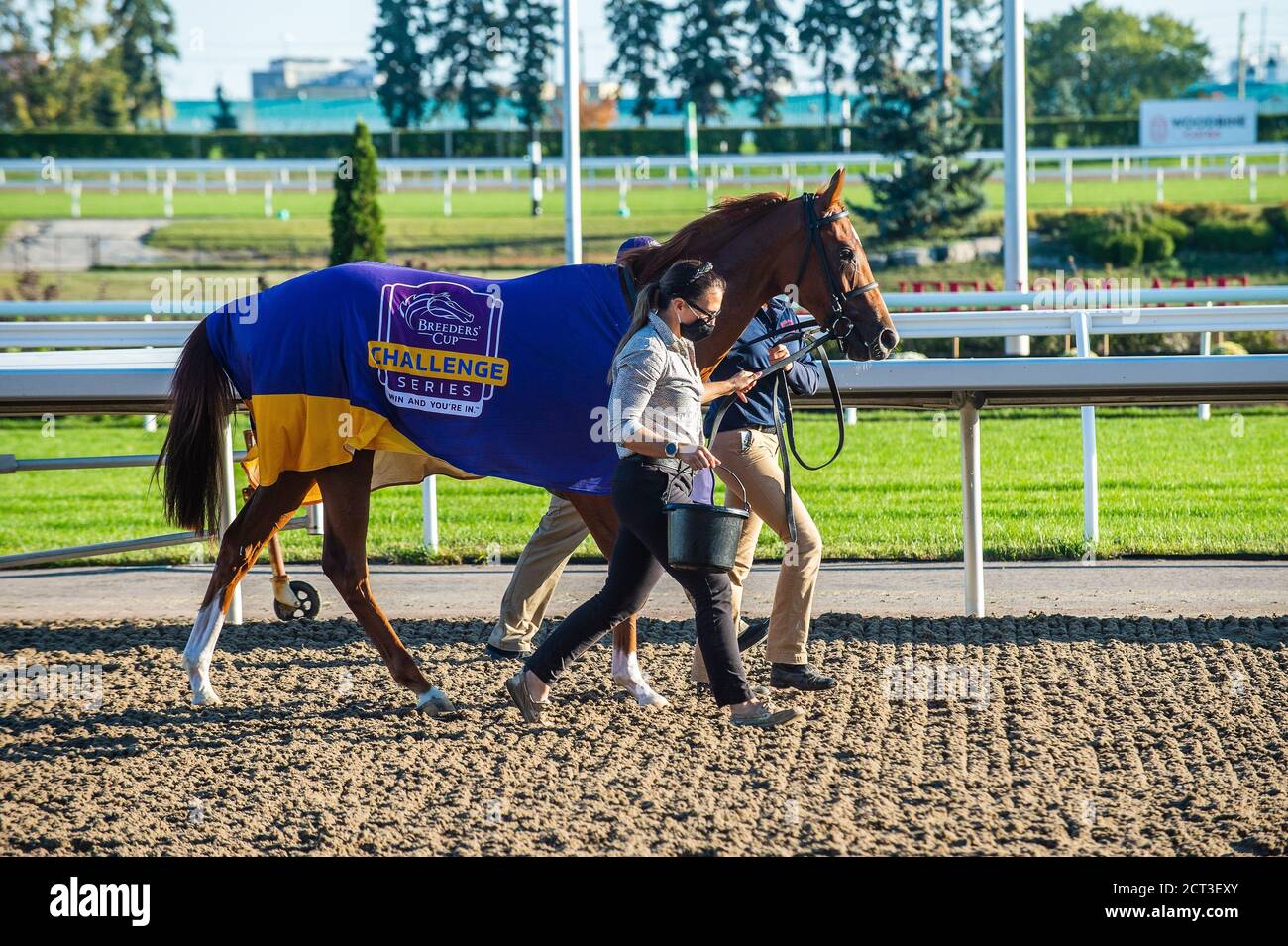 Winners circle hires stock photography and images Alamy