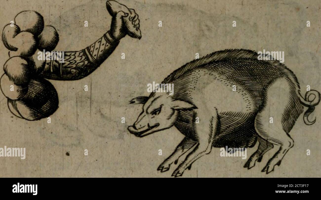 Oeuvre puissante du lion comme totem spirituel, image size:1300x809