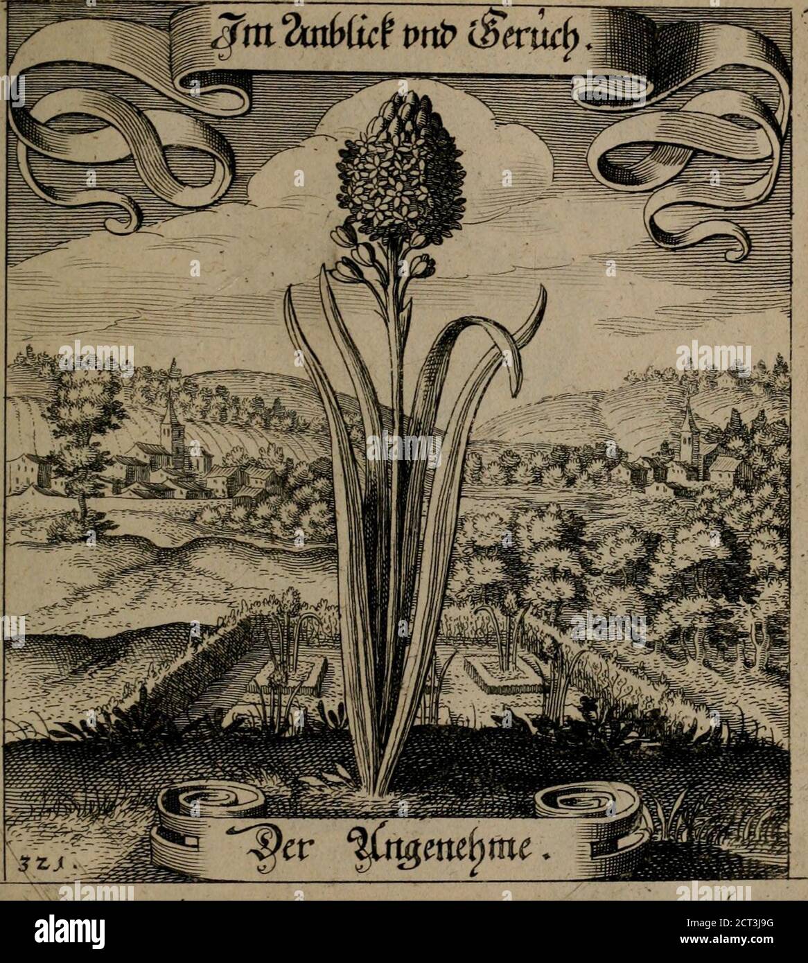 Titit hi-res stock photography and images - Alamy