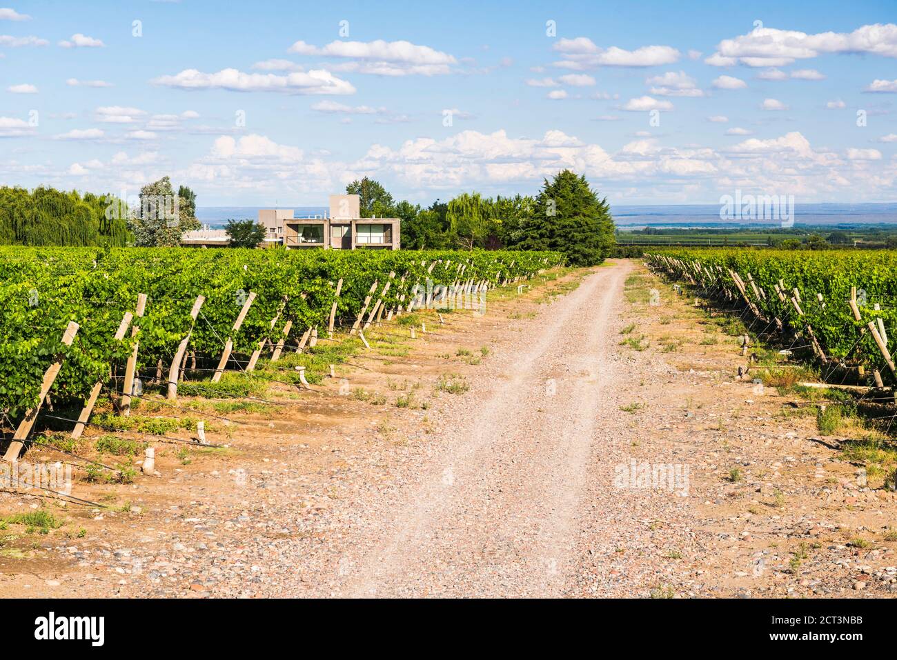 Bodega La Azul, a winery in Uco Valley (Valle de Uco), a wine region in