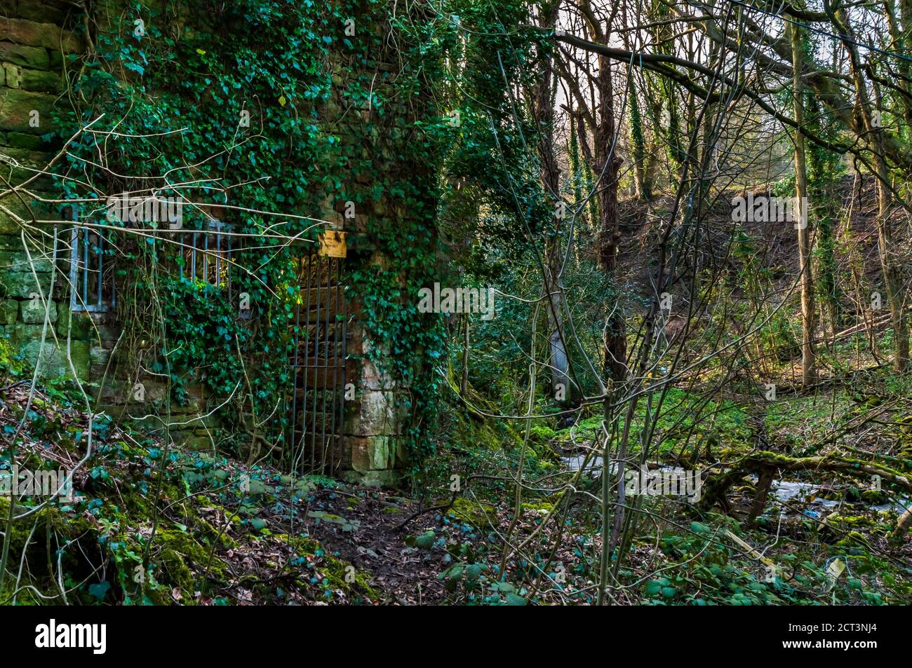 Abandoned old mill building at Ryecroft Glen in Ecclesall Woods, ancient woodland in Sheffield. Stock Photo