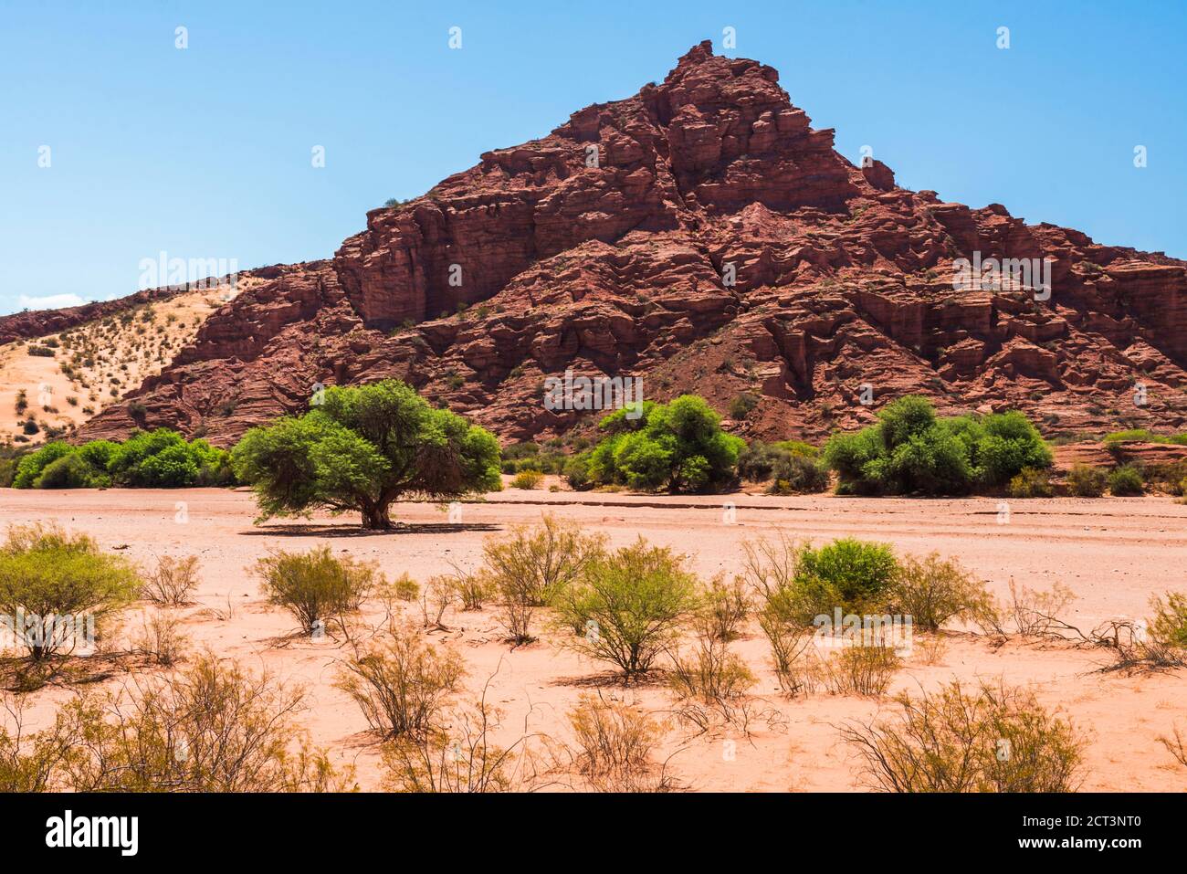 Talampaya Gorge at Talampaya National Park, La Rioja Province, North Argentina (UNESCO World Heritage Site), South America Stock Photo