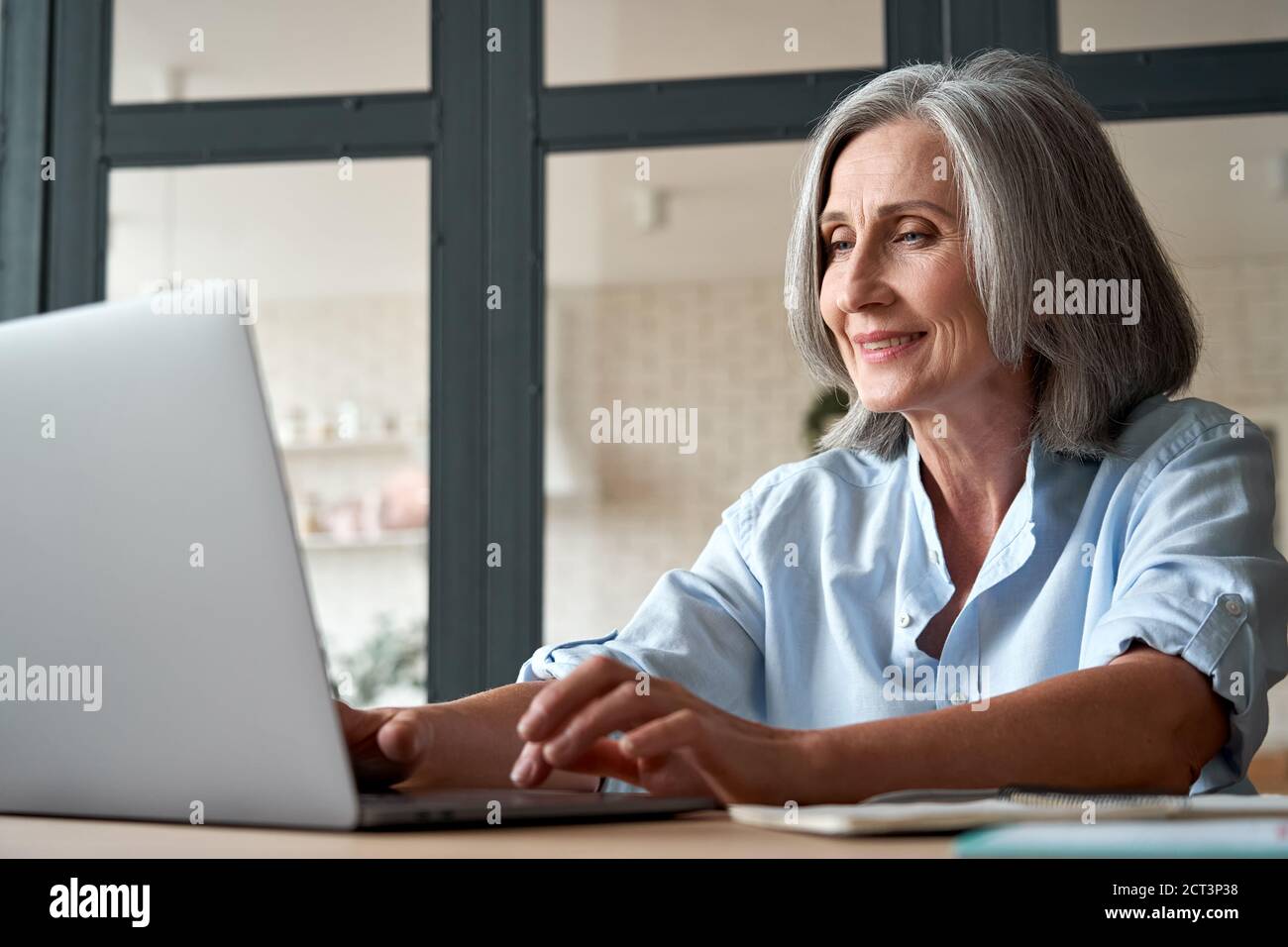 Smiling mature middle aged woman using laptop computer sitting at workplace. Stock Photo